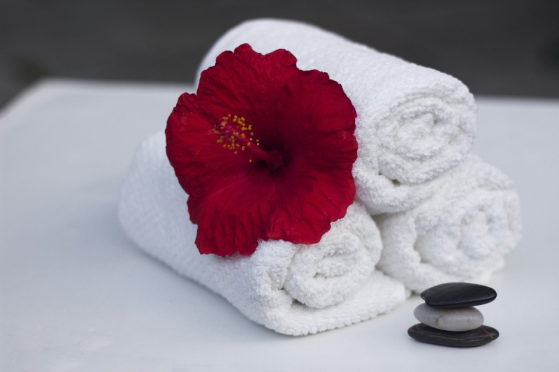 hotel-TRIGANCE-min_towel_hibiscus_clean_care_salon_spa_white_bath-869834